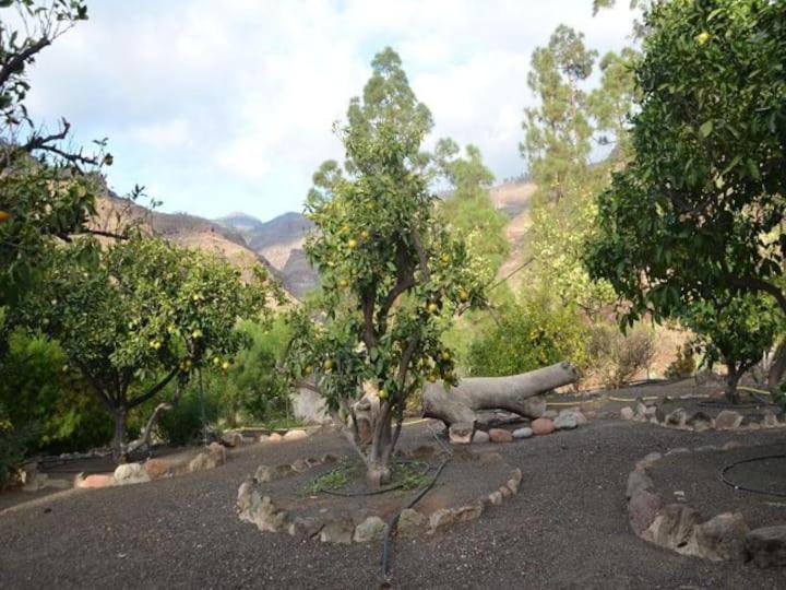 Casa Colonia Appartement Mogán Buitenkant foto
